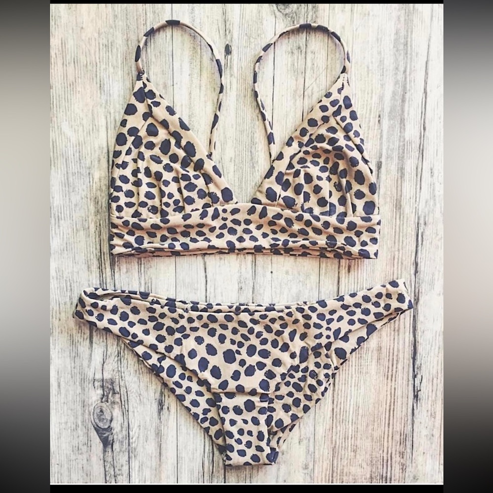 Carnivore Set